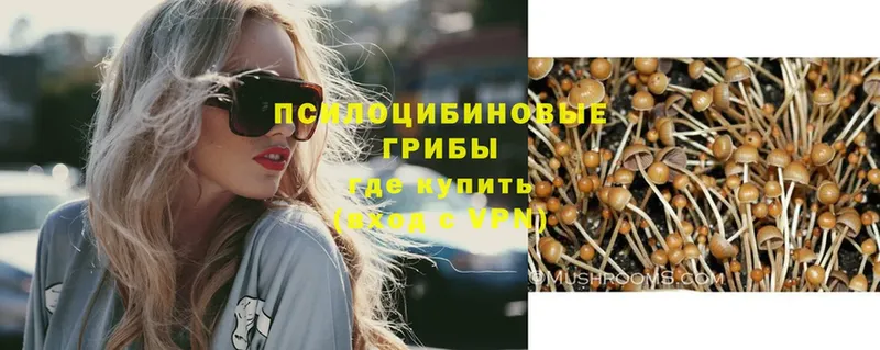 Псилоцибиновые грибы GOLDEN TEACHER  Курск 